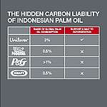 The Hidden Carbon Liability of Indonesian Palm Oil