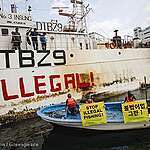 Greenpeace USA Urges Biden to Act as Study Reveals Alarming Human Impact on Oceans