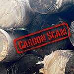 Carbon Scam: Noel Kempff Climate Action Project and the Push for Sub-national Forest Offsets