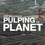 How Sinar Mas is pulping the planet