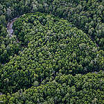 Climate Hope is everywhere that you are