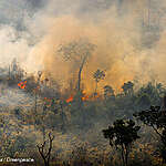 Despite the decrease in Amazon fires in September, smoke and drought in the region continue relentlessly
