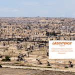 Climate progress report: California Governor Gavin Newsom