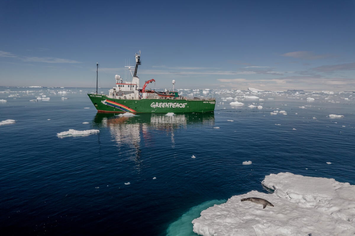 Arctic Sunrise In Antarctica. © Tomás Munita / Greenpeace