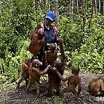 7 steps companies must take to stop deforestation