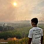 Choked in Smoke: This Is What It's Like Living in the Thick of Indonesia's Haze