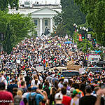 Protest safety tips from Greenpeace