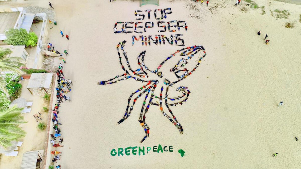 Greenpeace USA warns: Deep sea mining is a high-risk, unsustainable venture built on hype, not science