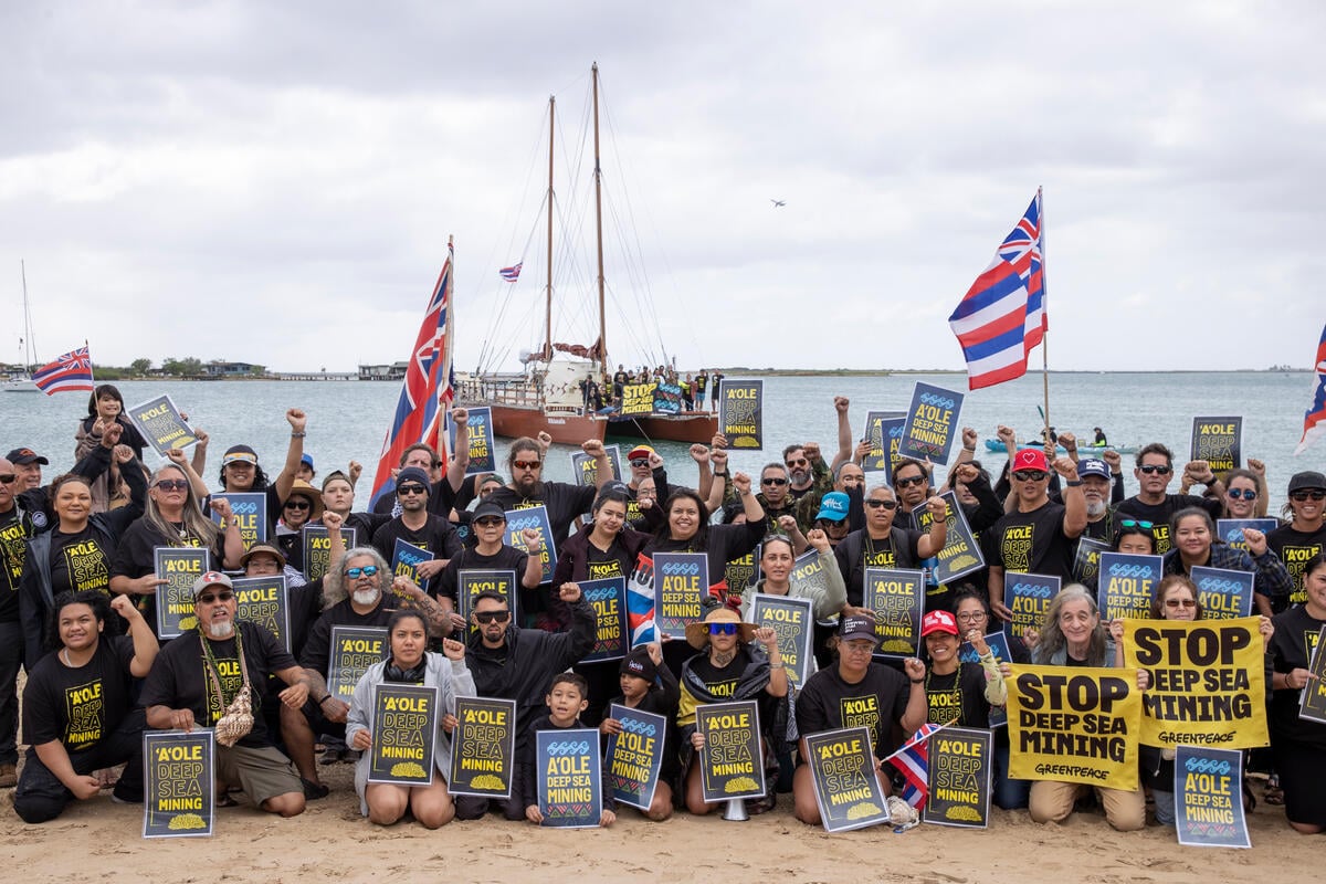 Global Ocean Treaty takes effect as artists worldwide press for action