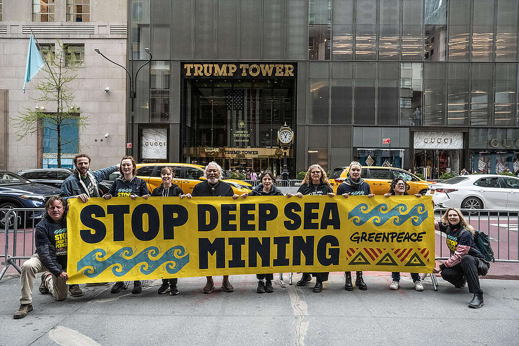 Stop DSM Banner at Trump Tower in New York City. © Stephanie Keith / Greenpeace