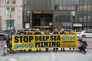 Stop DSM Banner at Trump Tower in New York City. © Stephanie Keith / Greenpeace