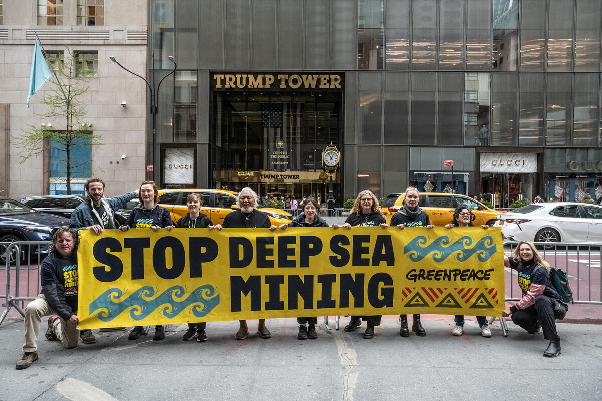 New Greenpeace International evidence reveals breaches by deep sea mining contractors: Governments must defend international law 