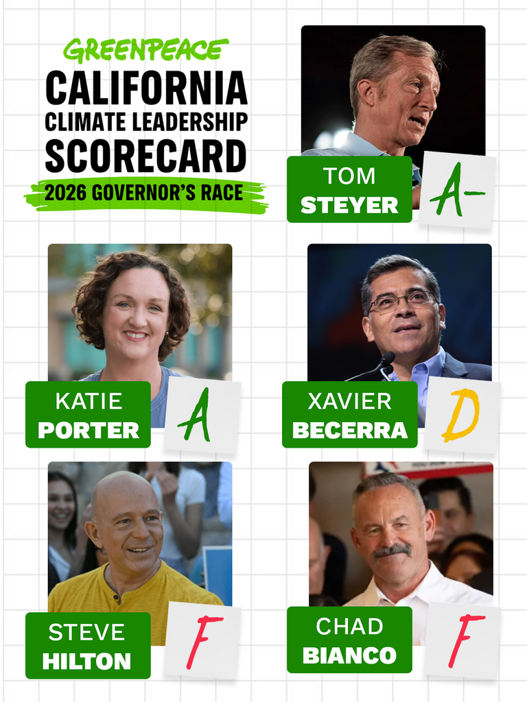 Greenpeace USA California Climate Leadership Scorecard: 2026 Governor's Race

Tom Steyer: A-
Katie Porter: A
Xavier Becerra: D
Steve Hilton: F
Chad Bianco: F