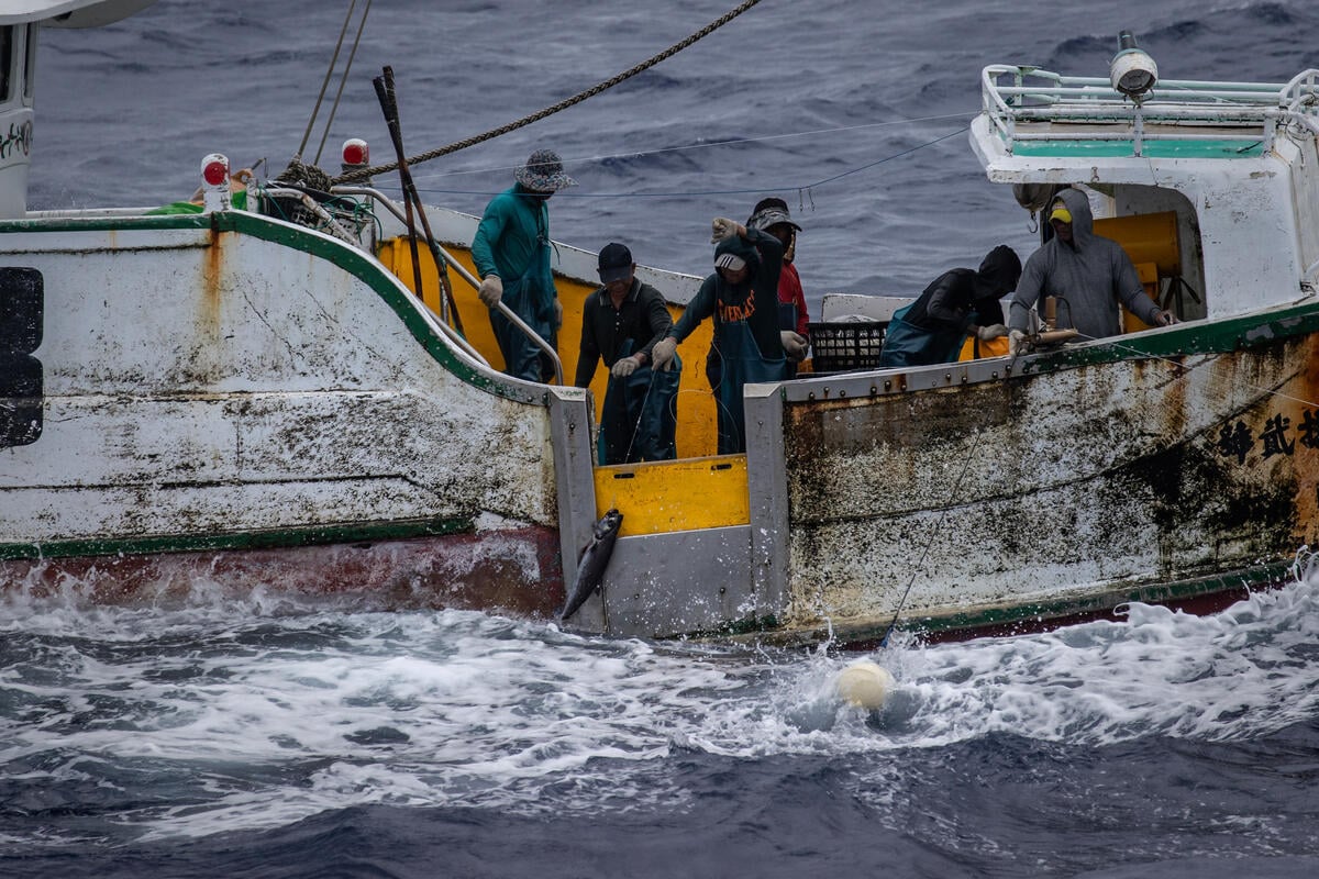 Man I Fang No.22 Longliner in the North Pacific Ocean. © Ulet Ifansasti / Greenpeace