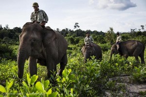 Indonesian Forests Moratorium