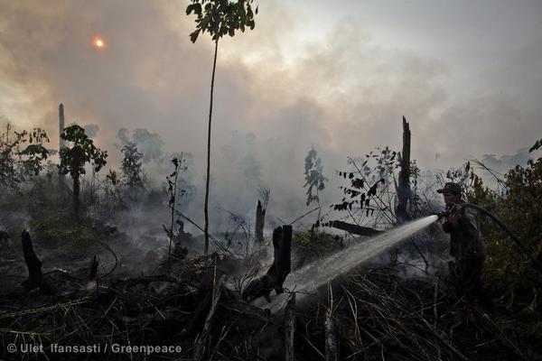 Fighting Forest Fires in Sumatra