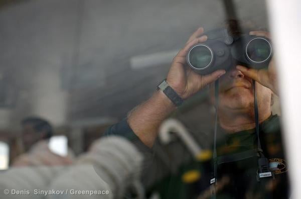 Captain Peter Willcox  looks out from the bridge of the Greenpeace ship, Arctic Sunrise, September 14, 2013.