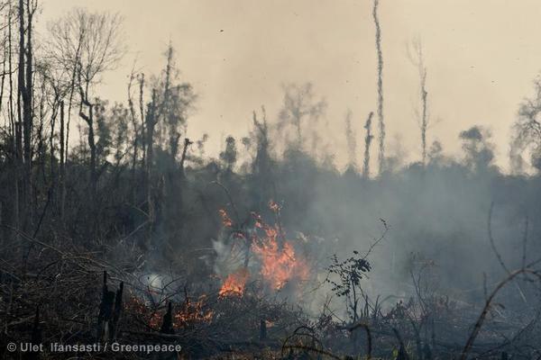 Forest Fires in Sumatra