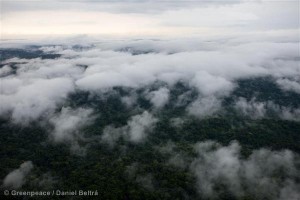 Clouds over Forests in the Amazon
