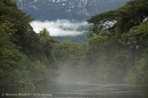 Amazon Rainforest in Brazil Amazonas Regenwald in Brasilien