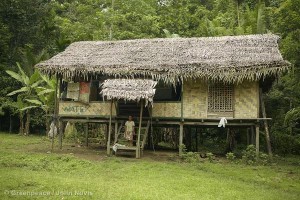 Awane Community Dwelling in Papua New Guinea