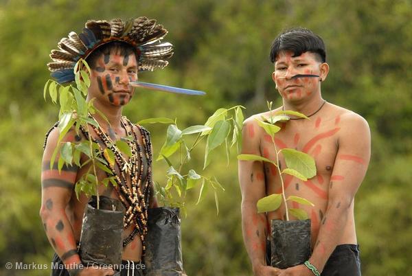 Manoki (Irantxe) indians in the State of Mato Grosso. The Manoki fight for their traditional land against the deforestation to make way for soya plantations.