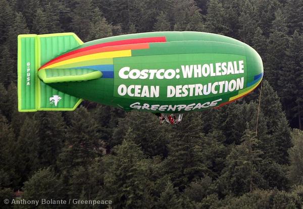 Oceans Action, Costco Headquarters Issaquah, Washington
