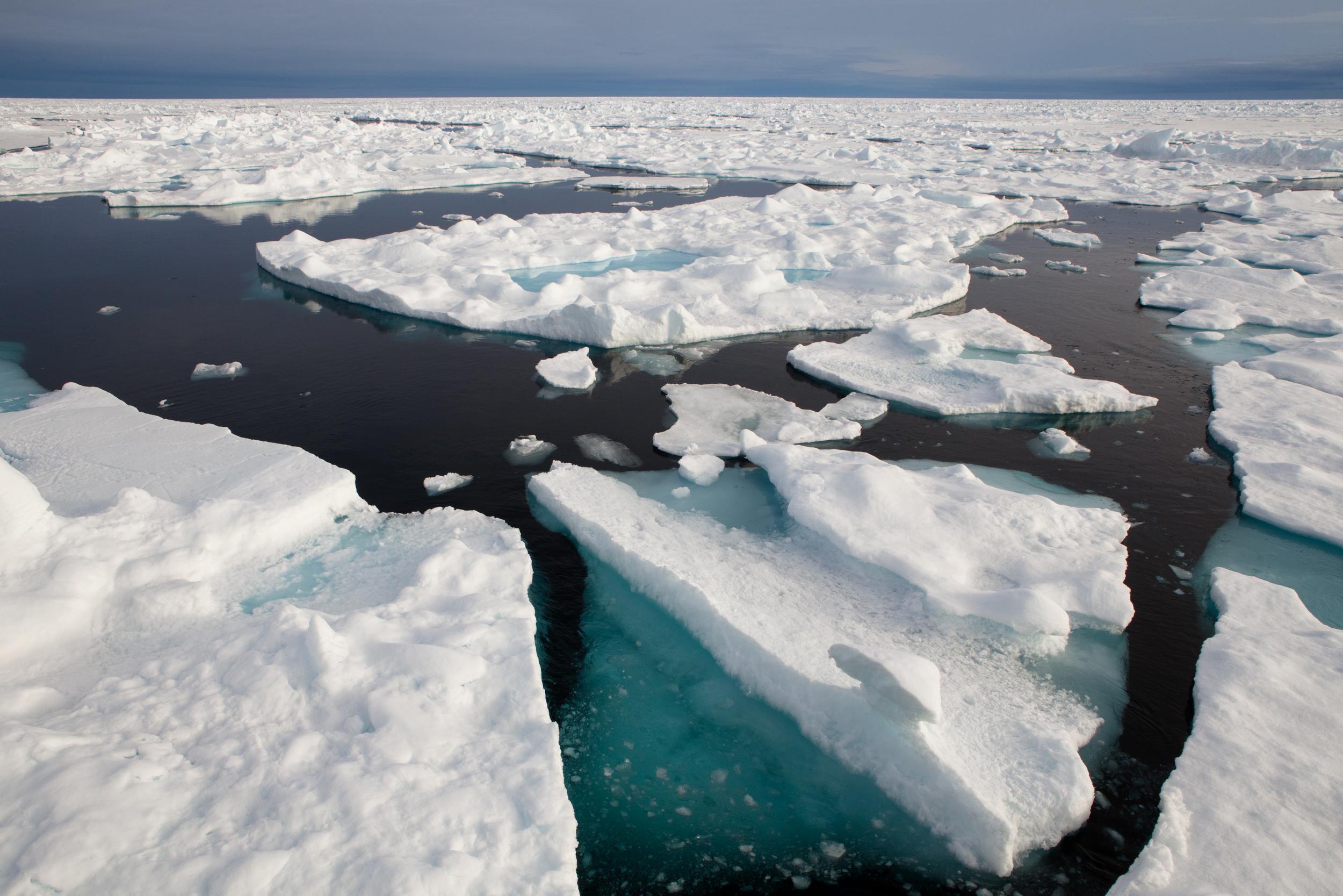 Экологические проблемы северного ледовитого океана. Глобальные потрепление. Глобальльное потепление. Глобальтное потемредае. Глобально еоптепление.