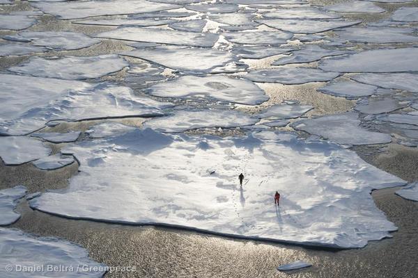 Ice Floe in the Arctic