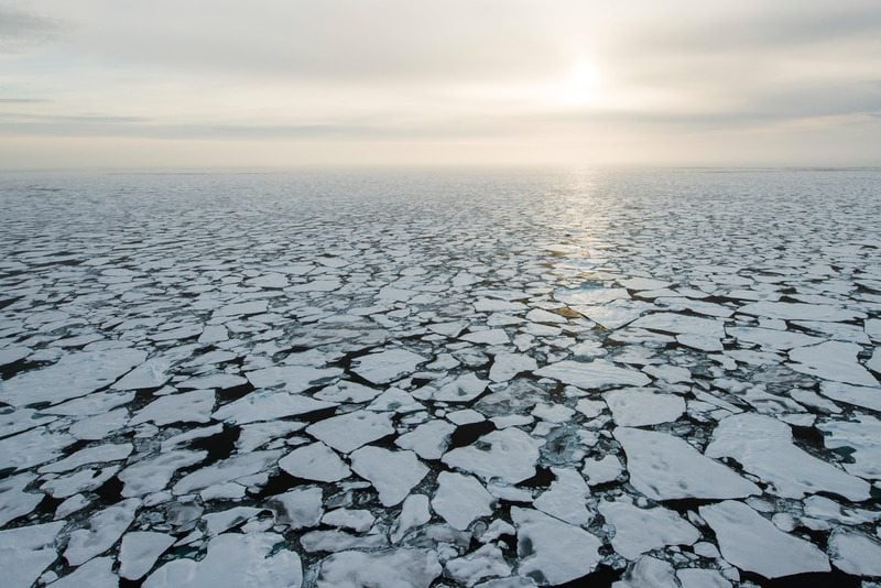 Arctic Issues & Threats Greenpeace USA