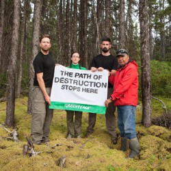 Greenpeace Joins with the Cree First Nation of Waswanipi to Save the Broadback Valley