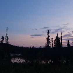 Boreal Forest in Broadback Valley at Dusk