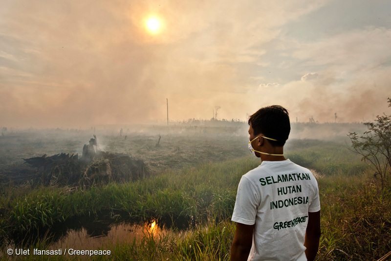 Documenting Forest Fires in Sumatra