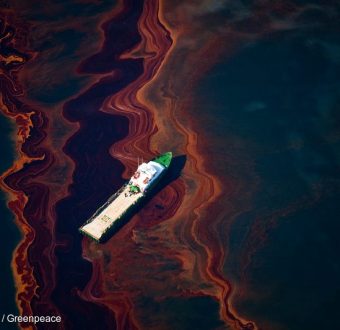 Oil from Oil Rig Disaster