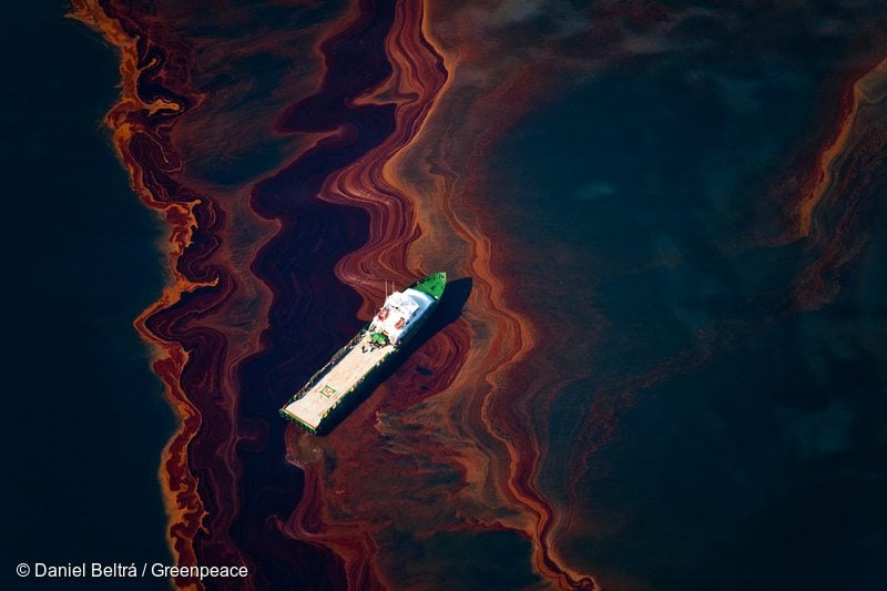 Oil from Oil Rig Disaster