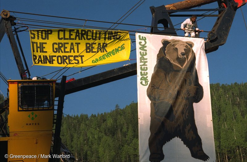 Banners on logging machines. Greenpeace activists occupy logging machines protest against clearcutting of Great Bear rainforest by Western Forest Products.