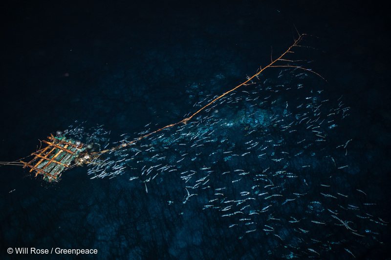 A FAD (fish aggregating device) at night. Greenpeace is in the Indian Ocean to document and clean the seas of destructive fishing gear.