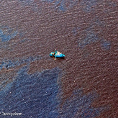 Shell Oil Spill in the Gulf of Mexico