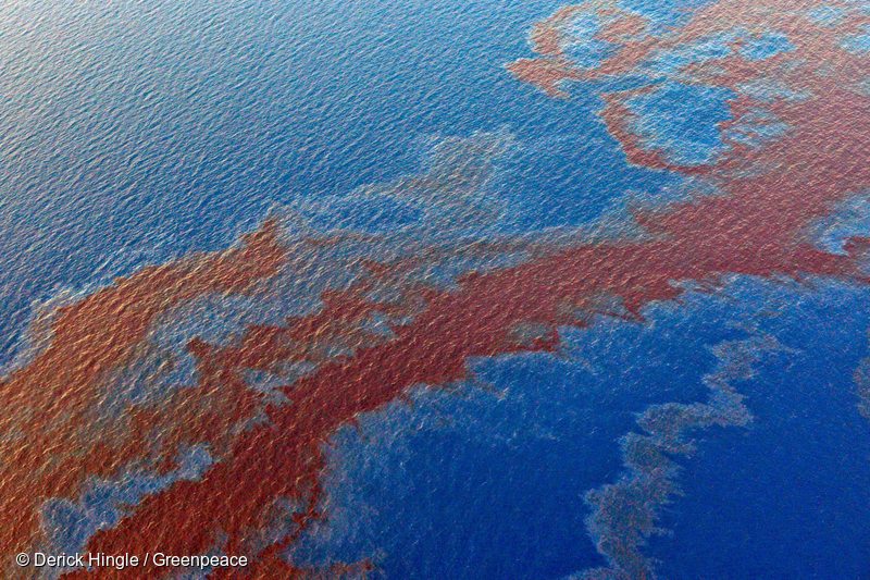 Shell Oil Spill in the Gulf of Mexico