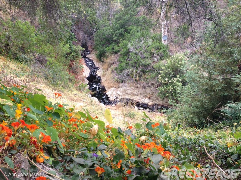 Ventura County Oil Spill