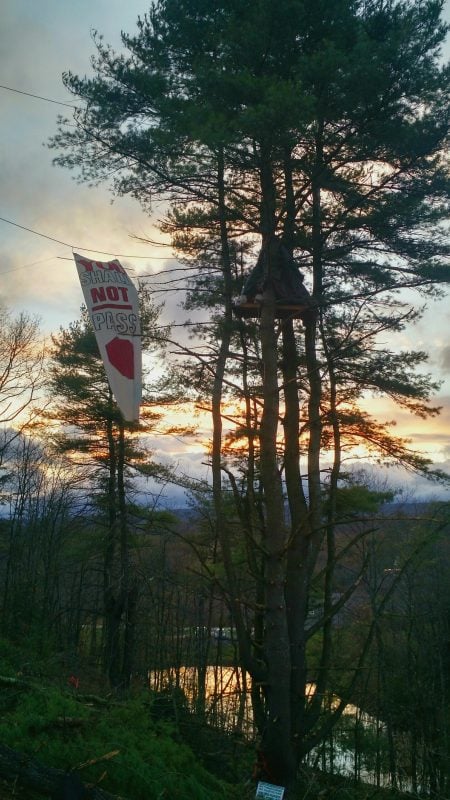 Elise Gerhart occupied a tree last year when forest clearing began for the Mariner East 2 pipeline. Photo by Coryn Wolk.