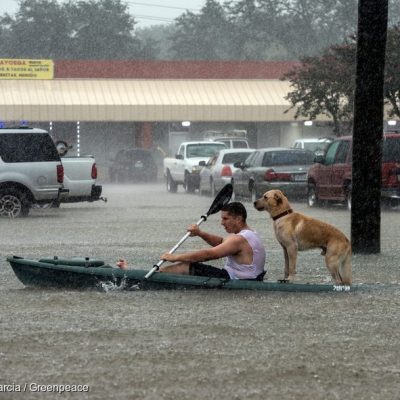 Hurricane Harvey Flooding Rescue in Texas
