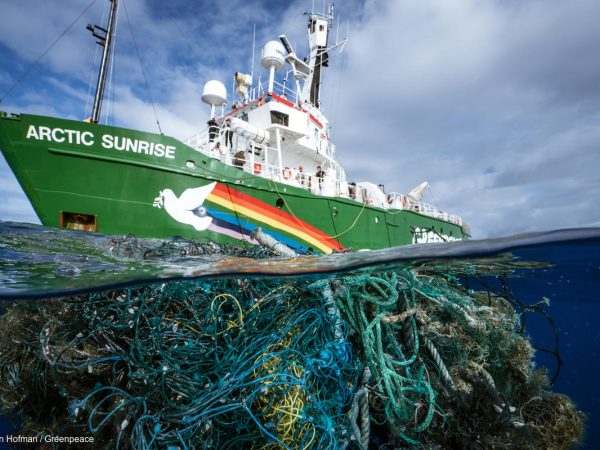 Fighting Plastic Pollution - Greenpeace USA
