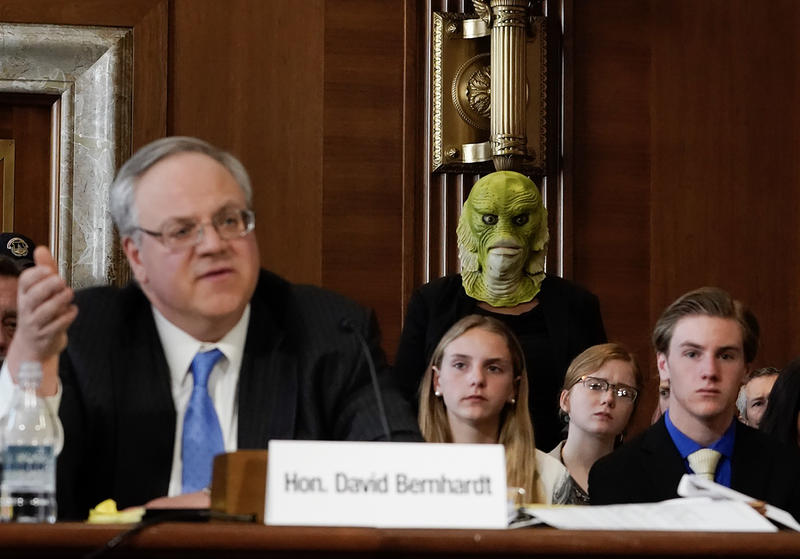 Swamp Monsters Attend Interior Secretary Nominee David Bernhardt's Hearing in Washington DC