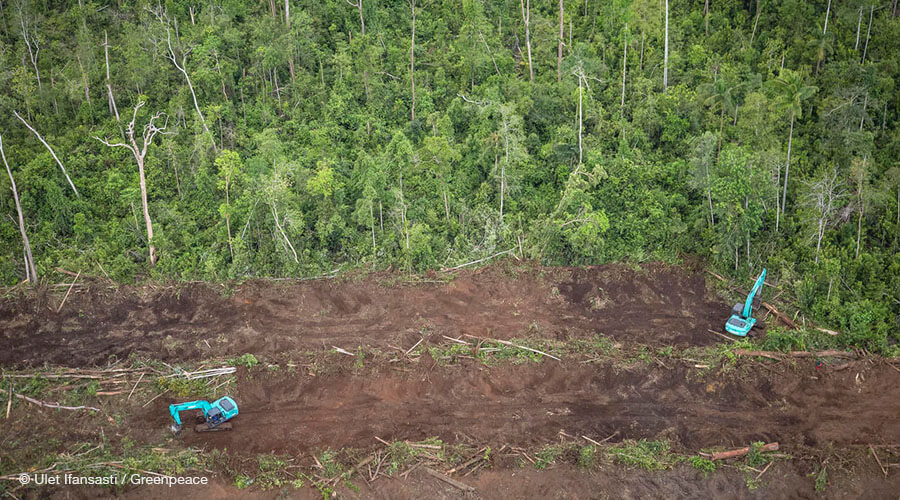 An aerial photo shows an excavator clearing forest for palm oil plantations
