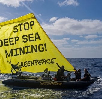 Greenpeace USA Supports Congressional Call to Action to Stop Overfishing  and Protect Workers - Greenpeace USA
