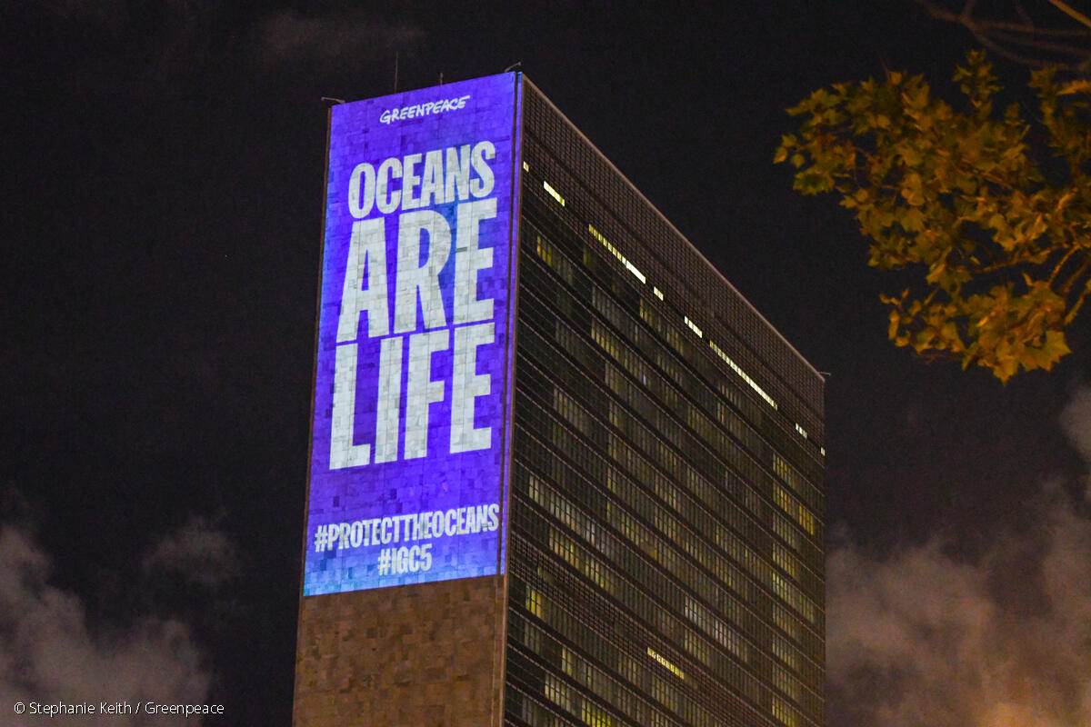 Global Oceans Treaty UN Projections Greenpeace USA